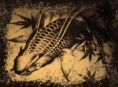 /album/carpa/disegno-carpa-jpg/